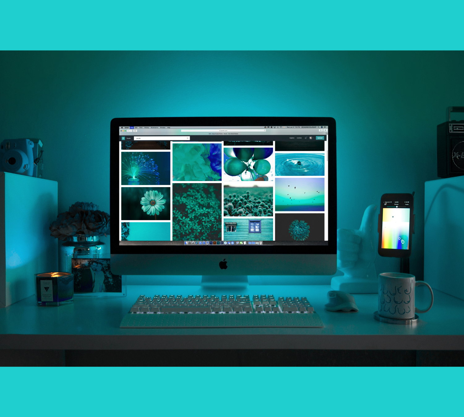 BASILIC WEB SITE WORDPRESS