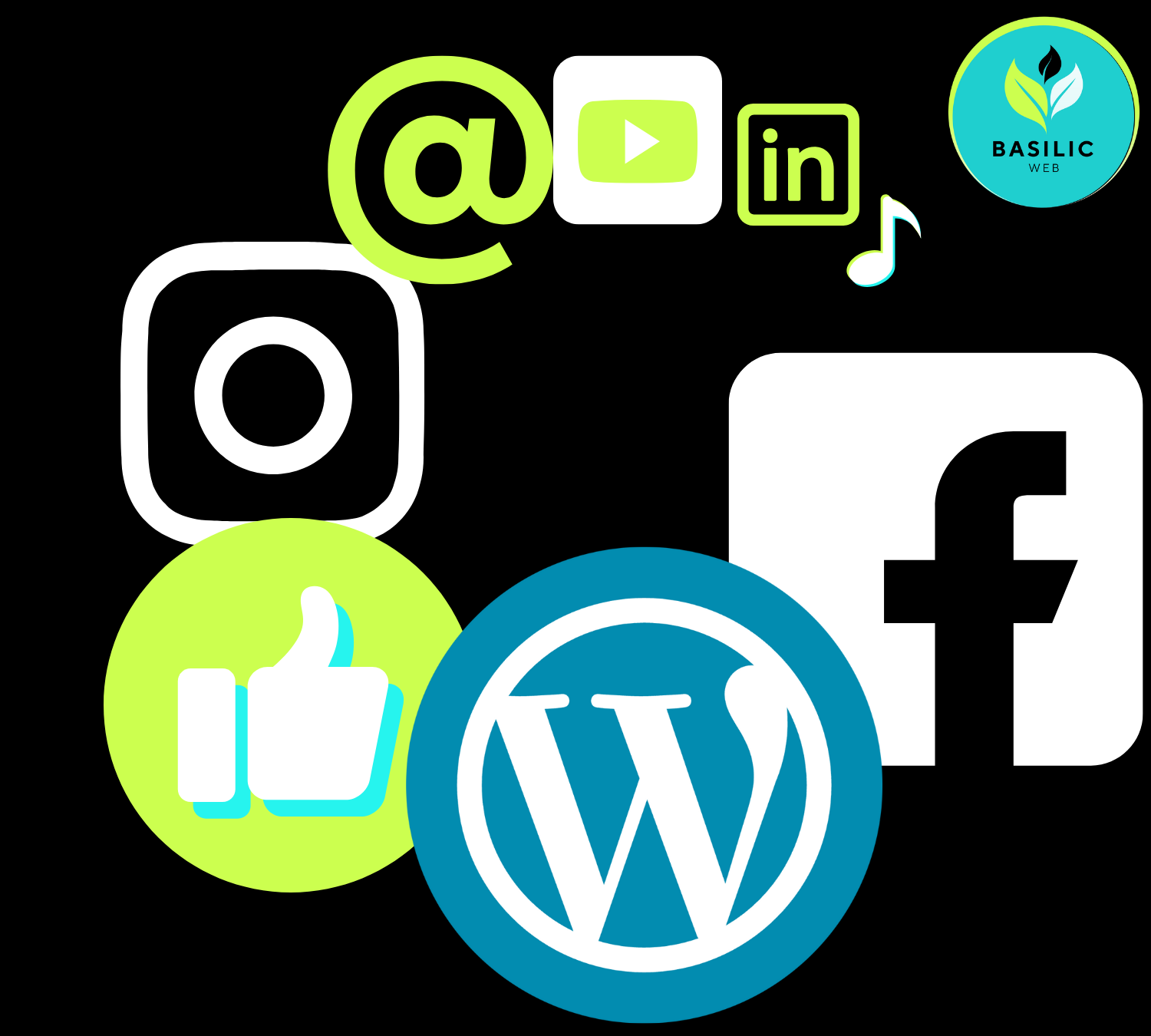 BASILIC WEB RESEAUX SOCIAUX SITE WORDPRESS