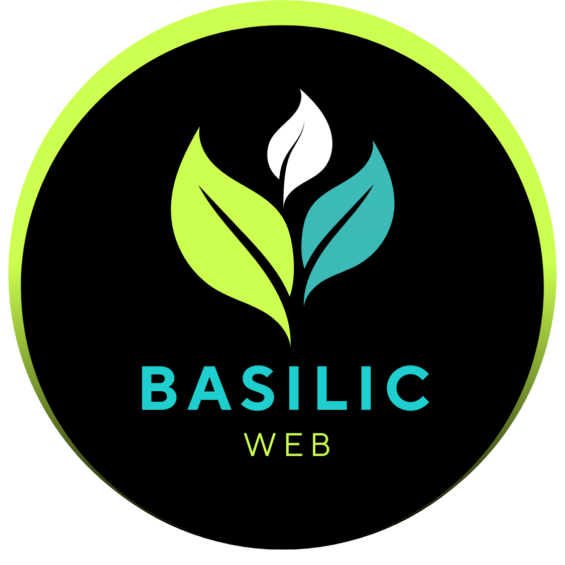 BASILIC WEB- CREATION FORMATION SITES WORDPRESS